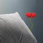 The Grey House בית נופש הונפלר