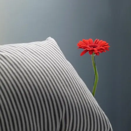 The Grey House 펜션 옹플뢰르