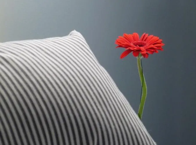 The Grey House בית נופש הונפלר